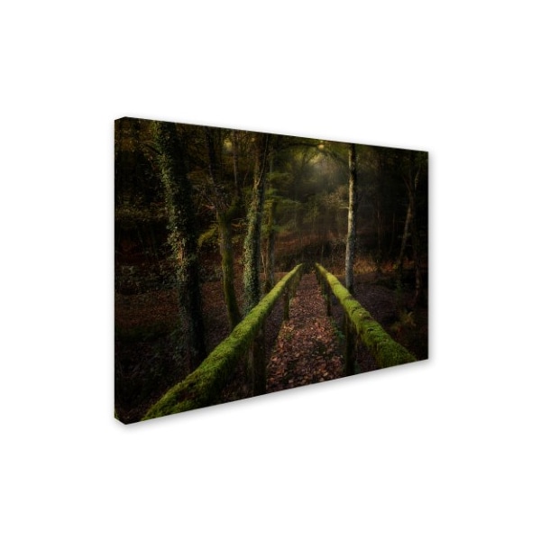 Chencho Mendoza 'The Way To The Forest' Canvas Art,24x32